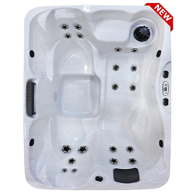 Kona PZ-519L hot tubs for sale in hot tubs spas for sale Millhall