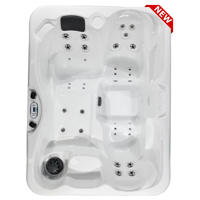 Kona PZ-535L hot tubs for sale in hot tubs spas for sale Millhall
