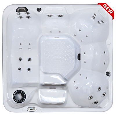 Hawaiian PZ-636L hot tubs for sale in hot tubs spas for sale Millhall